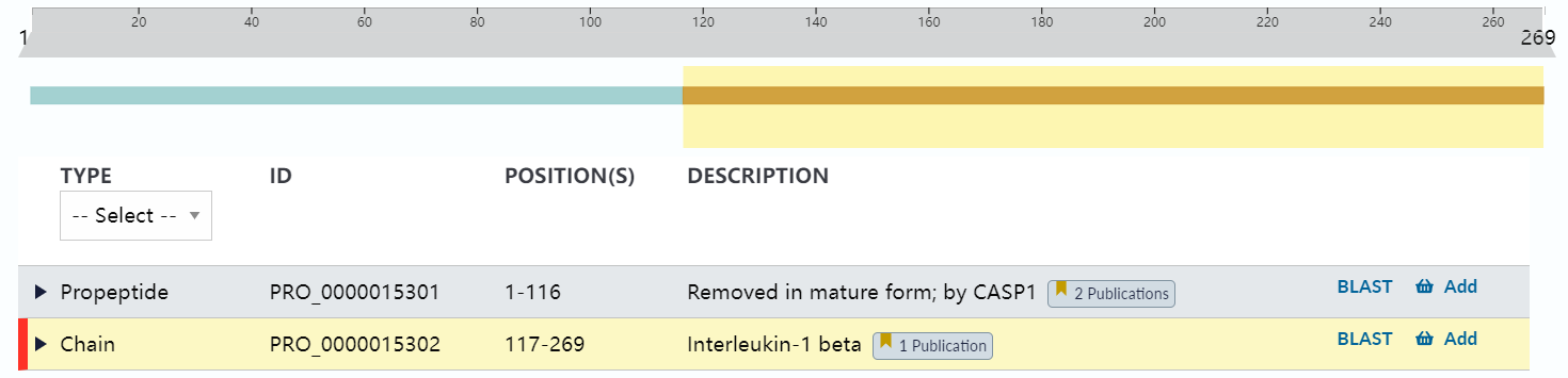 Inflammatory cytokine IL1β