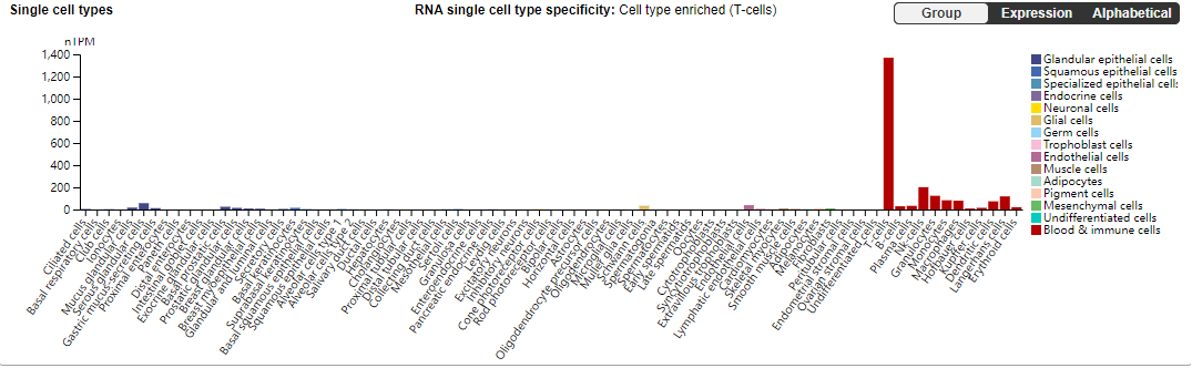 Interleukin-7 receptor alpha subunit CD127