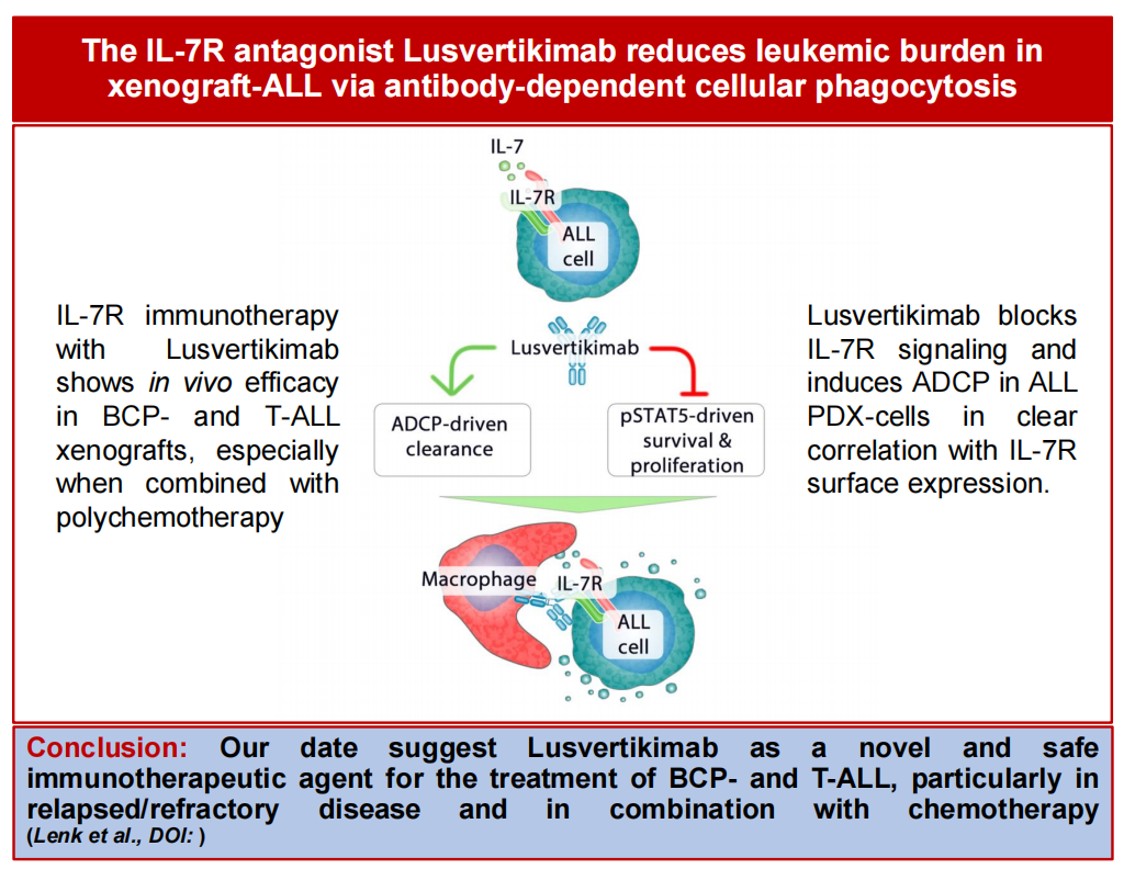 Interleukin-7 receptor alpha subunit CD127