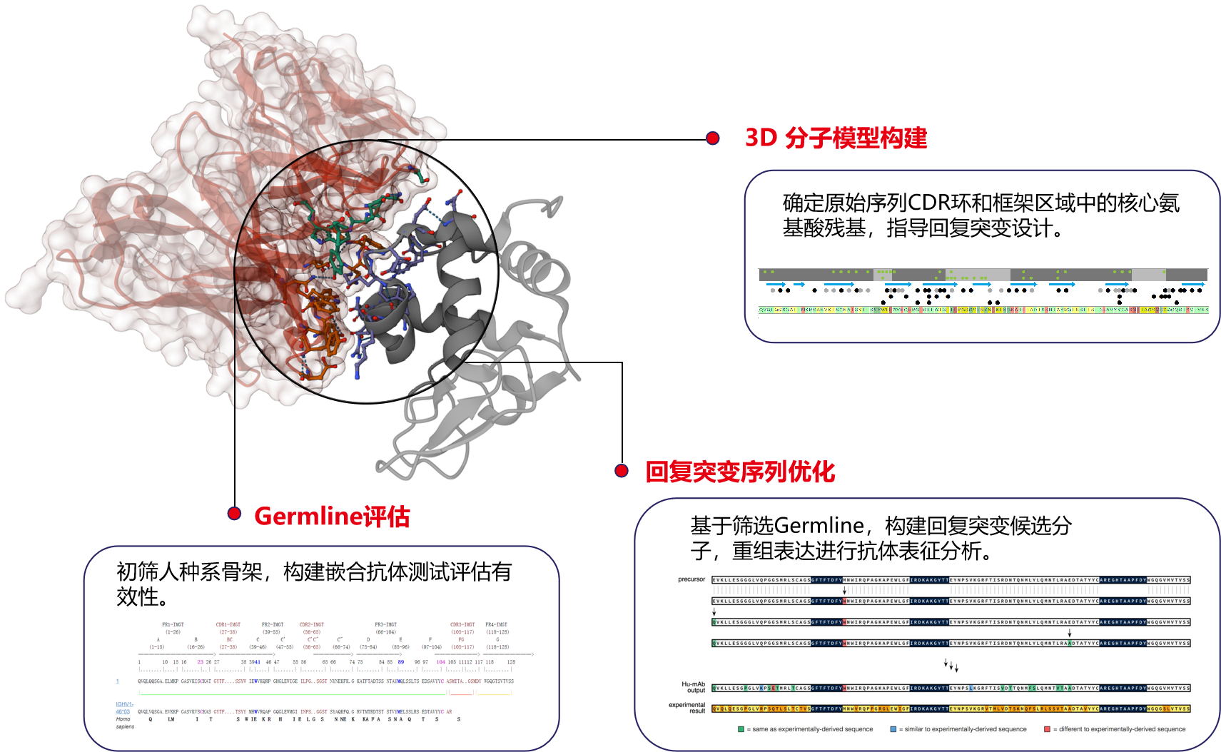 Introduction to engineering design of recombinant antibody