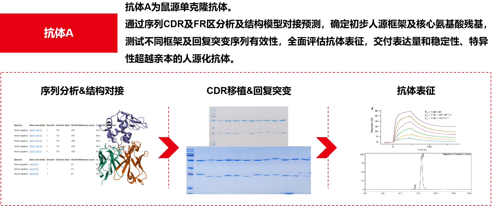 Introduction to engineering design of recombinant antibody