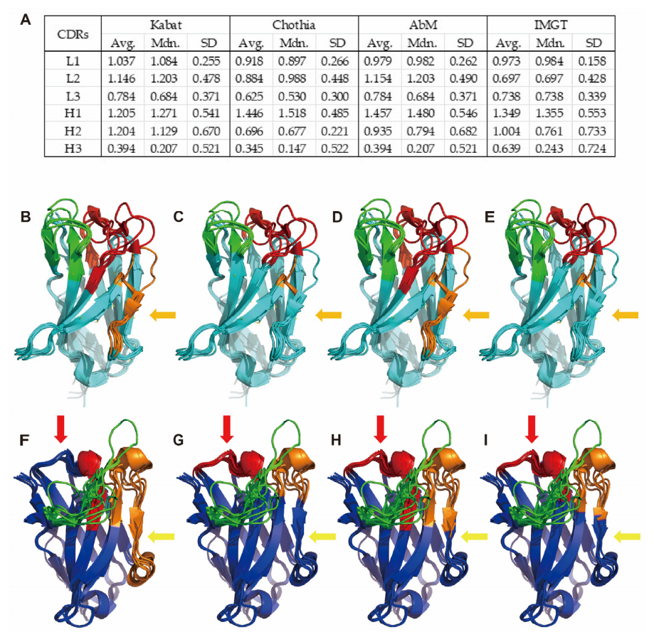 Key differences and limitations of antibody numbering schemes