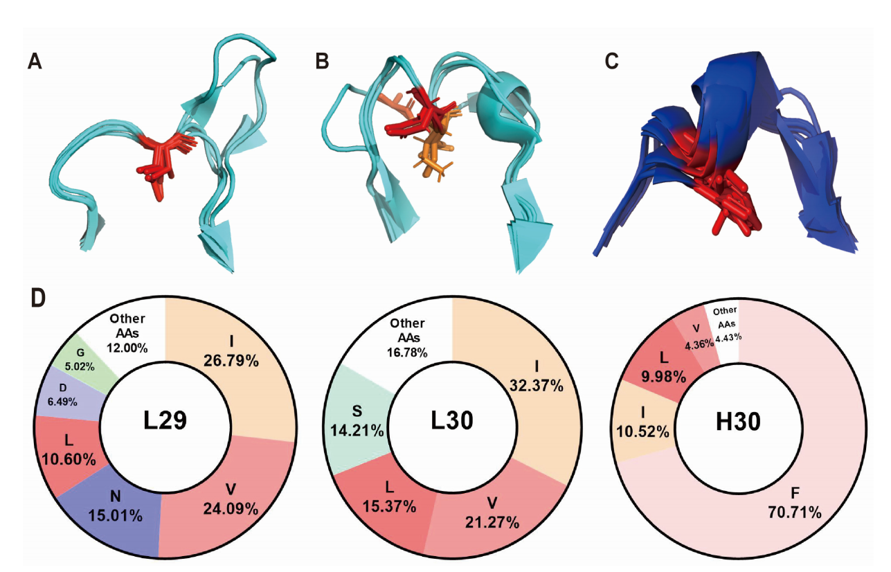 Key differences and limitations of antibody numbering schemes