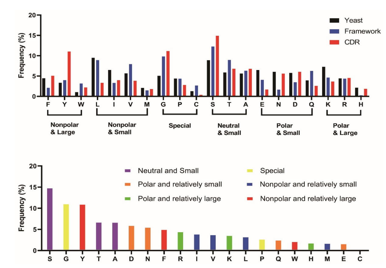 Key differences and limitations of antibody numbering schemes