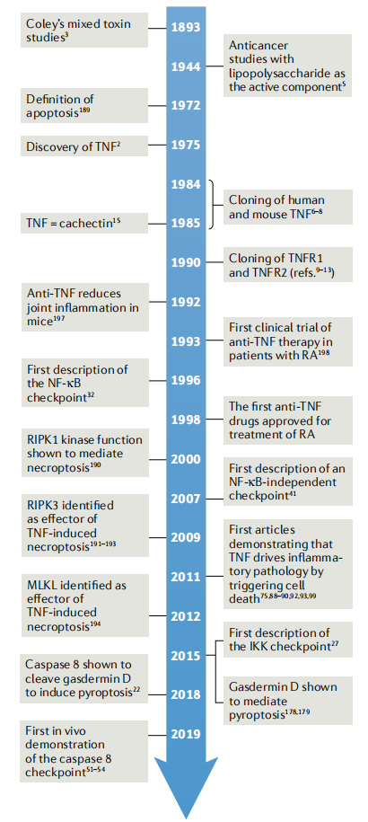 Key molecules on the surface of cytotoxic T-cells TNFa