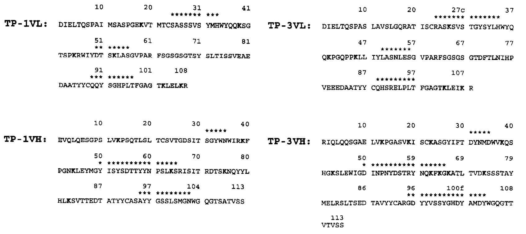 Literature share antibody sequences defined a new target for osteosarcoma CAR-T therapy