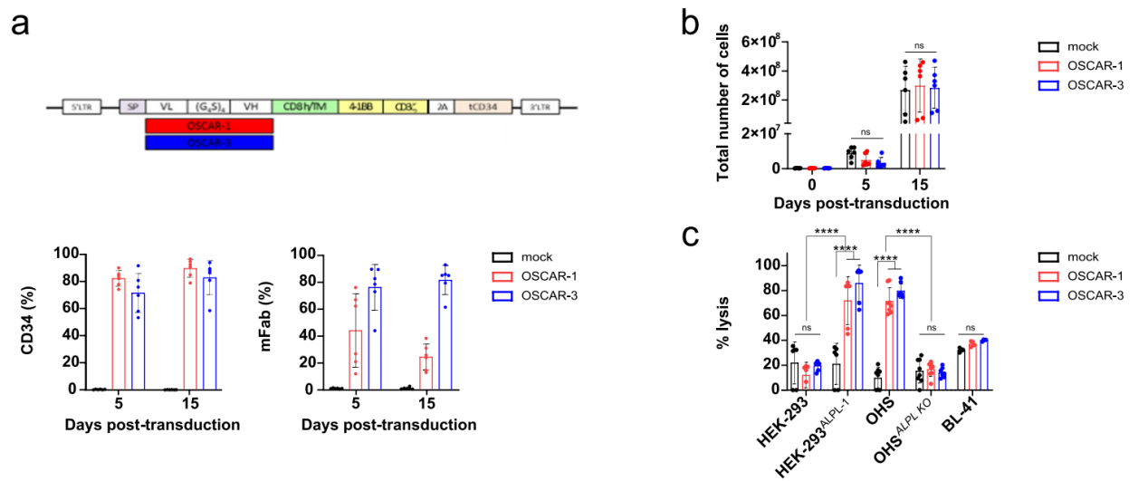 Literature share antibody sequences defined a new target for osteosarcoma CAR-T therapy