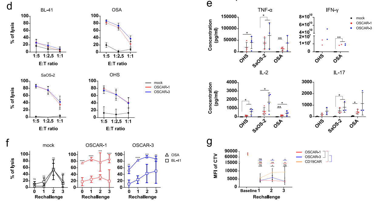 Literature share antibody sequences defined a new target for osteosarcoma CAR-T therapy