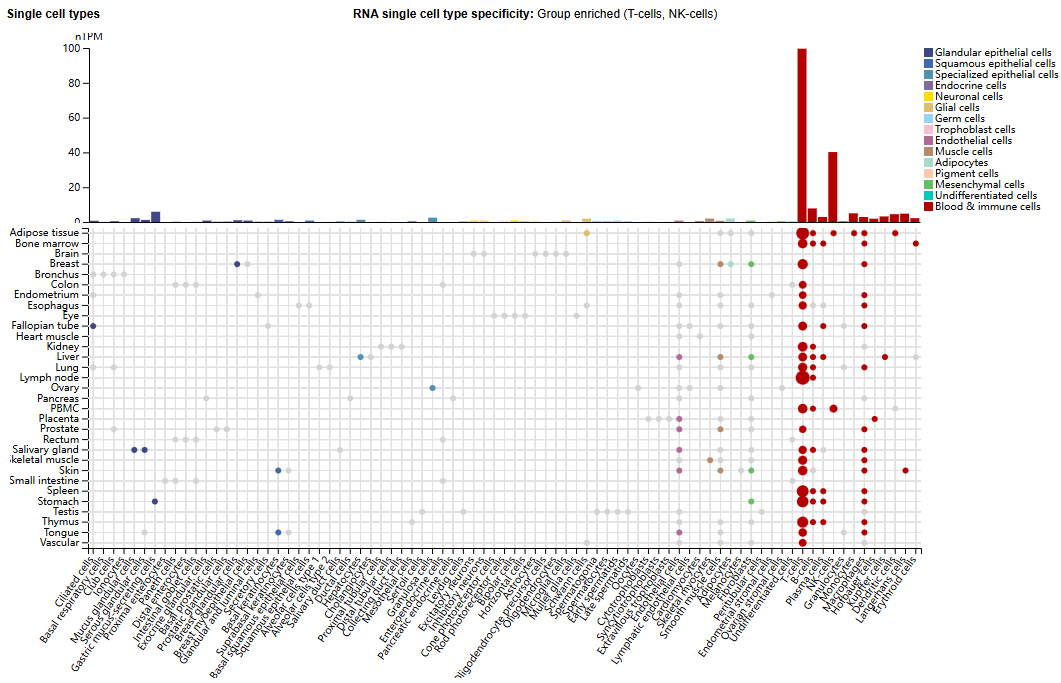 Lymphocyte activation targets CD6
