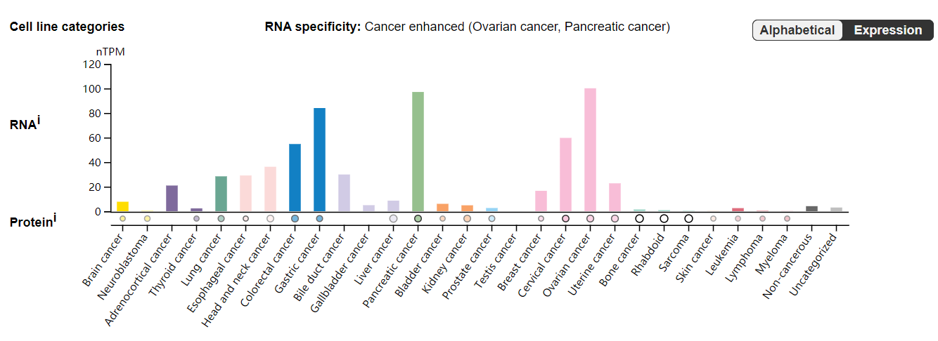 MSLN is the target of solid tumor treatment