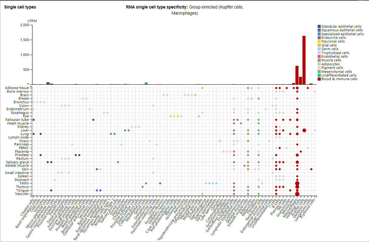 Macrophage activation marker CD163