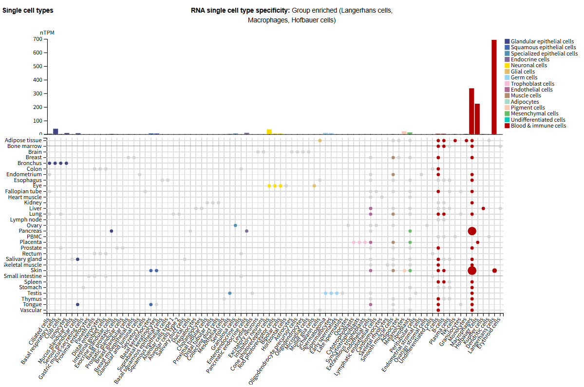 Matrix metalloproteinase MMP9