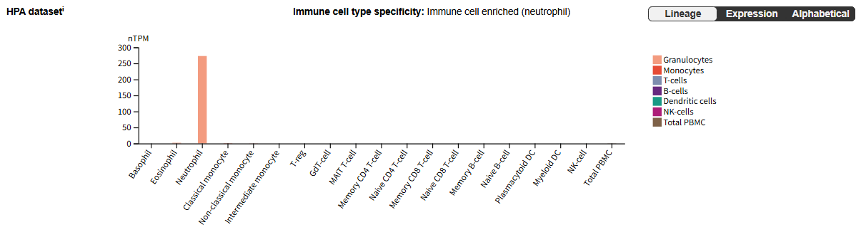 Matrix metalloproteinase MMP9
