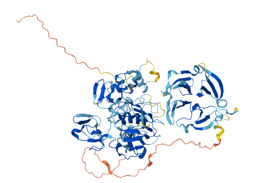 Matrix metalloproteinase MMP9