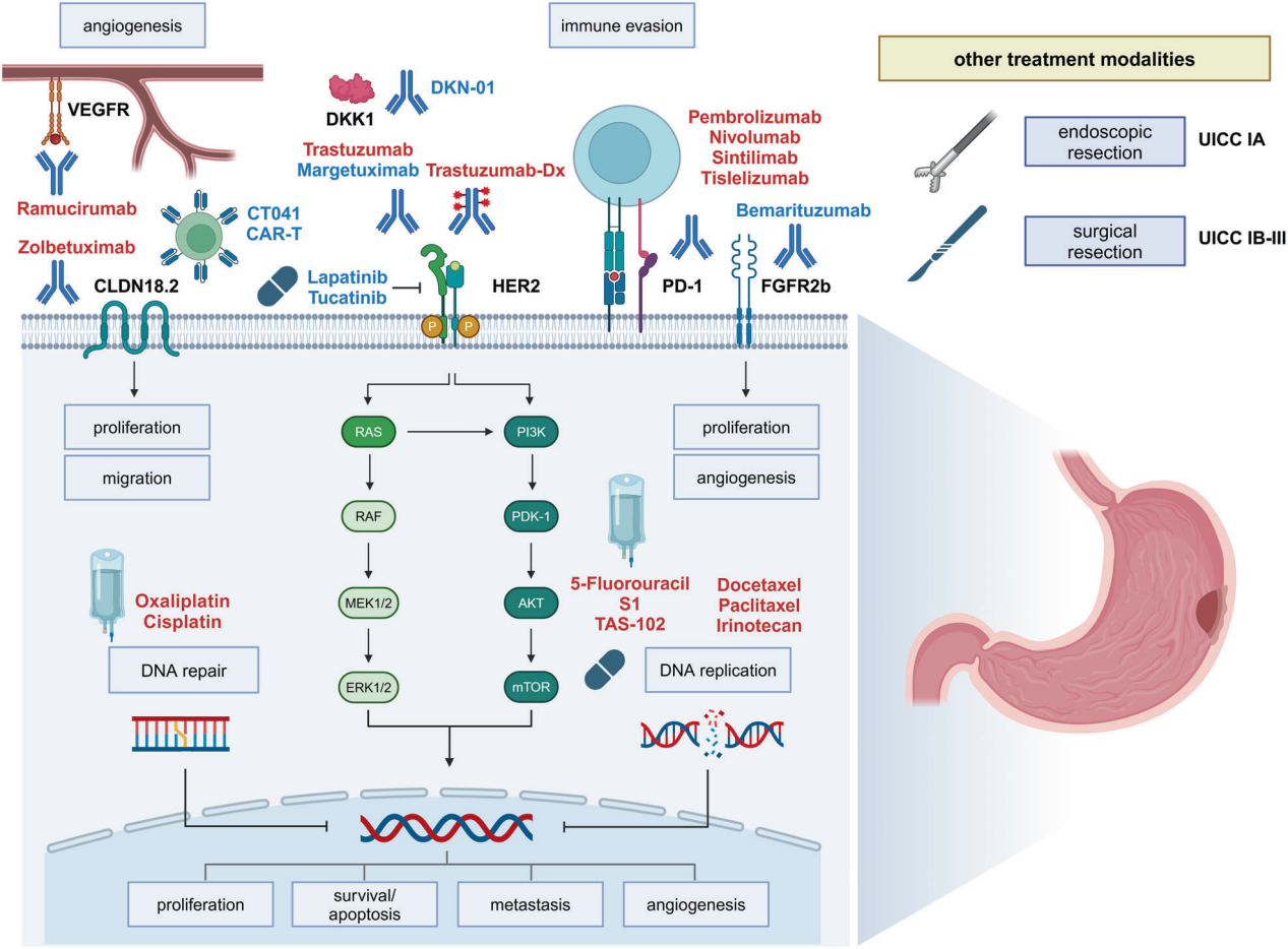 Mechanisms treatment and management of tumors of the digestive system