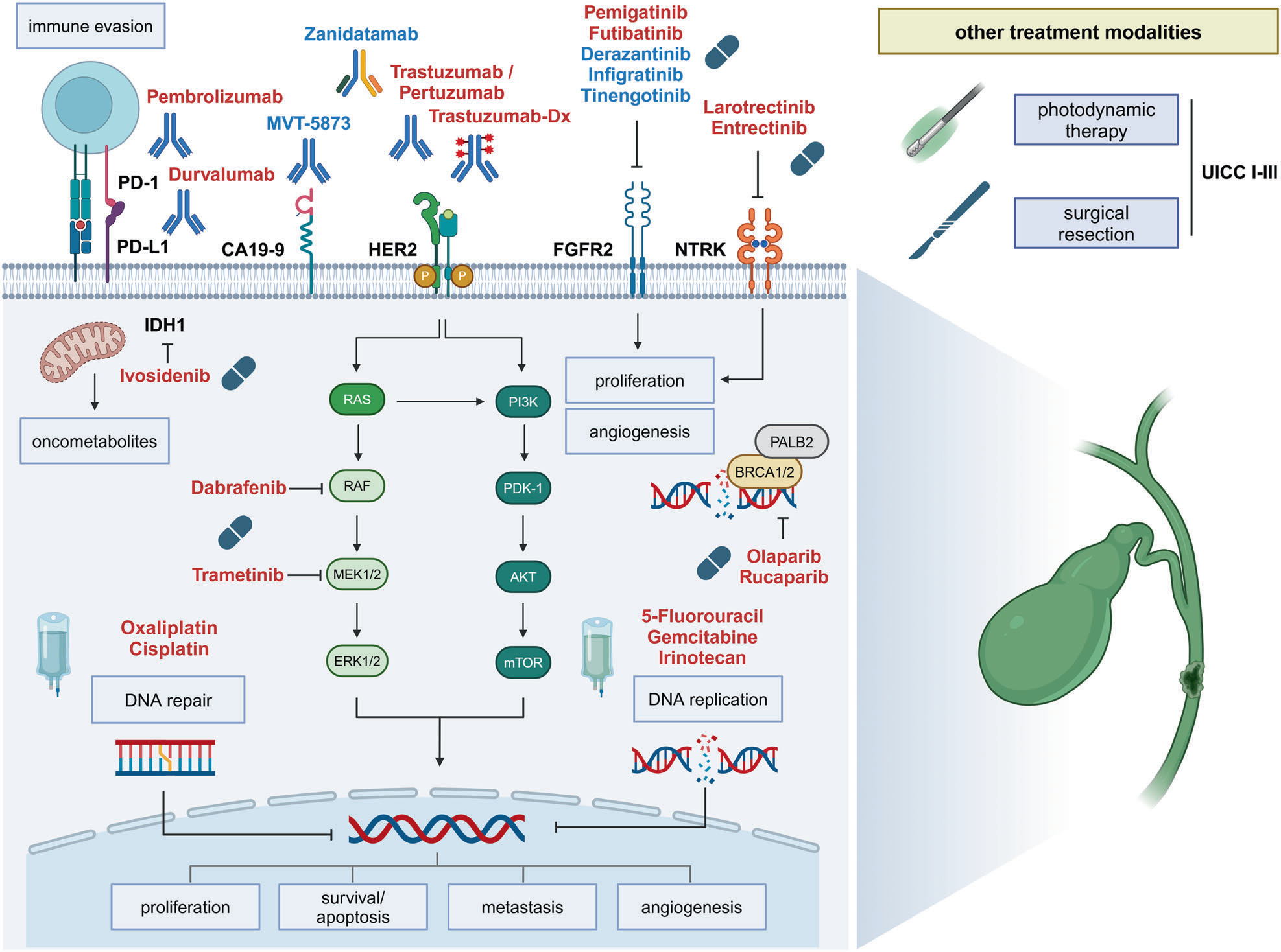 Mechanisms treatment and management of tumors of the digestive system