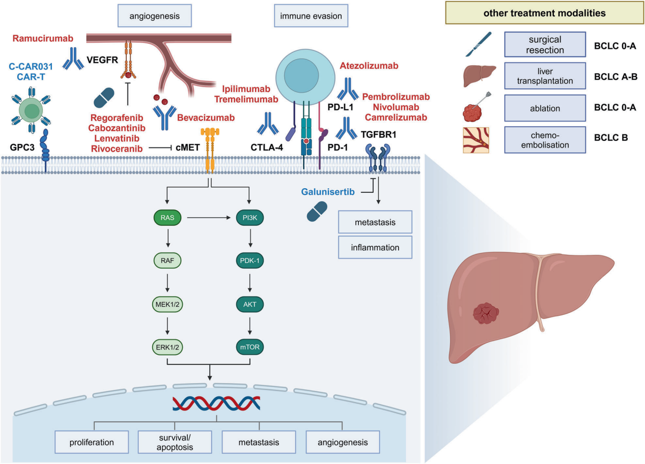Mechanisms treatment and management of tumors of the digestive system