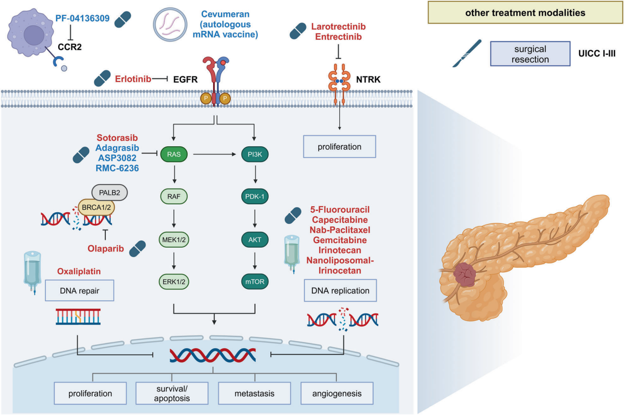 Mechanisms treatment and management of tumors of the digestive system