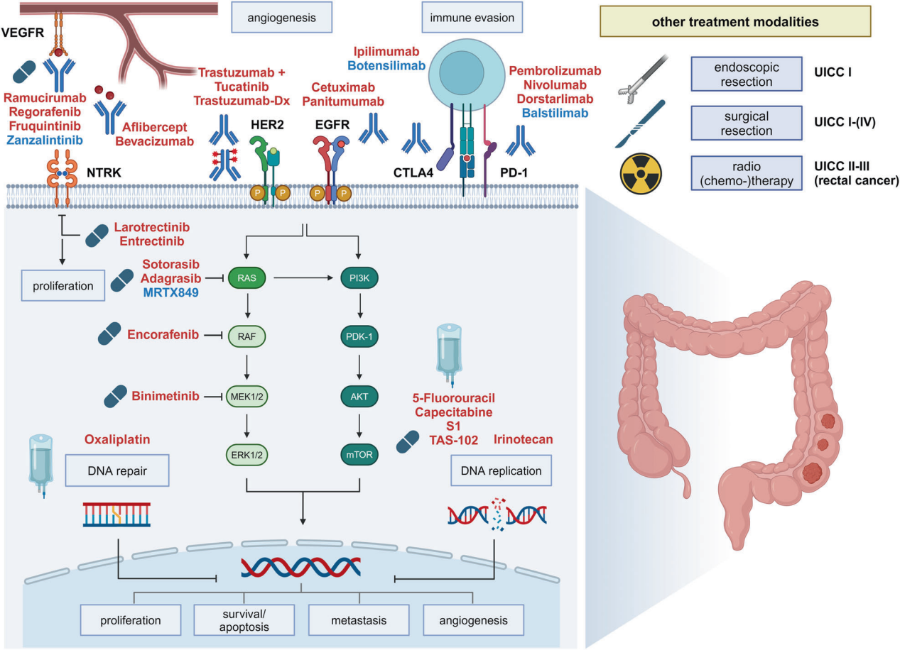 Mechanisms treatment and management of tumors of the digestive system