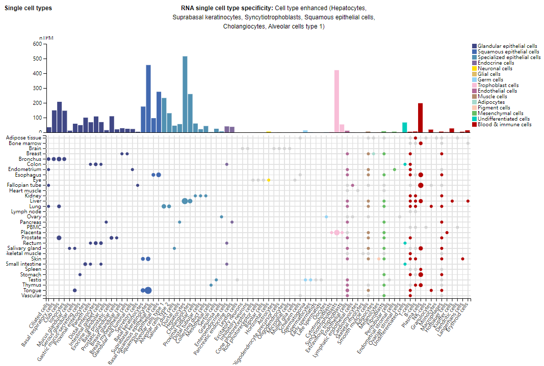 Multiple myeloma treatment target CD138