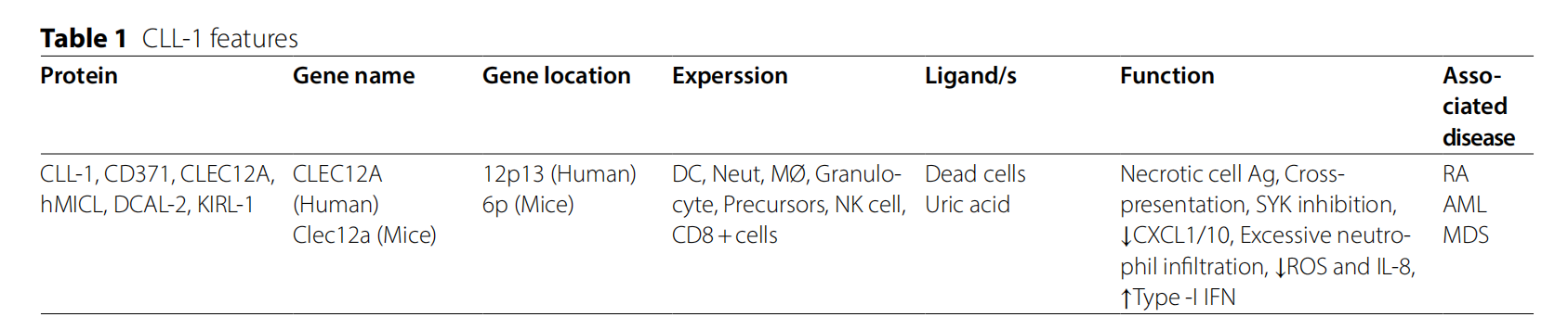 Myeloid inhibitory C-type lectin receptor CLEC12A