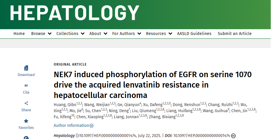 NEK7 phosphorylation of EGFR drives the mechanism of drug resistance in hepatocellular carcinoma
