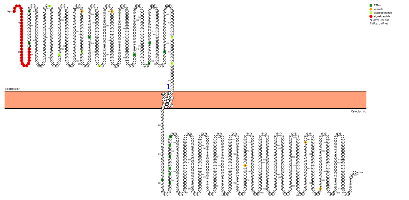NPR1 is a therapeutic target for heart failure