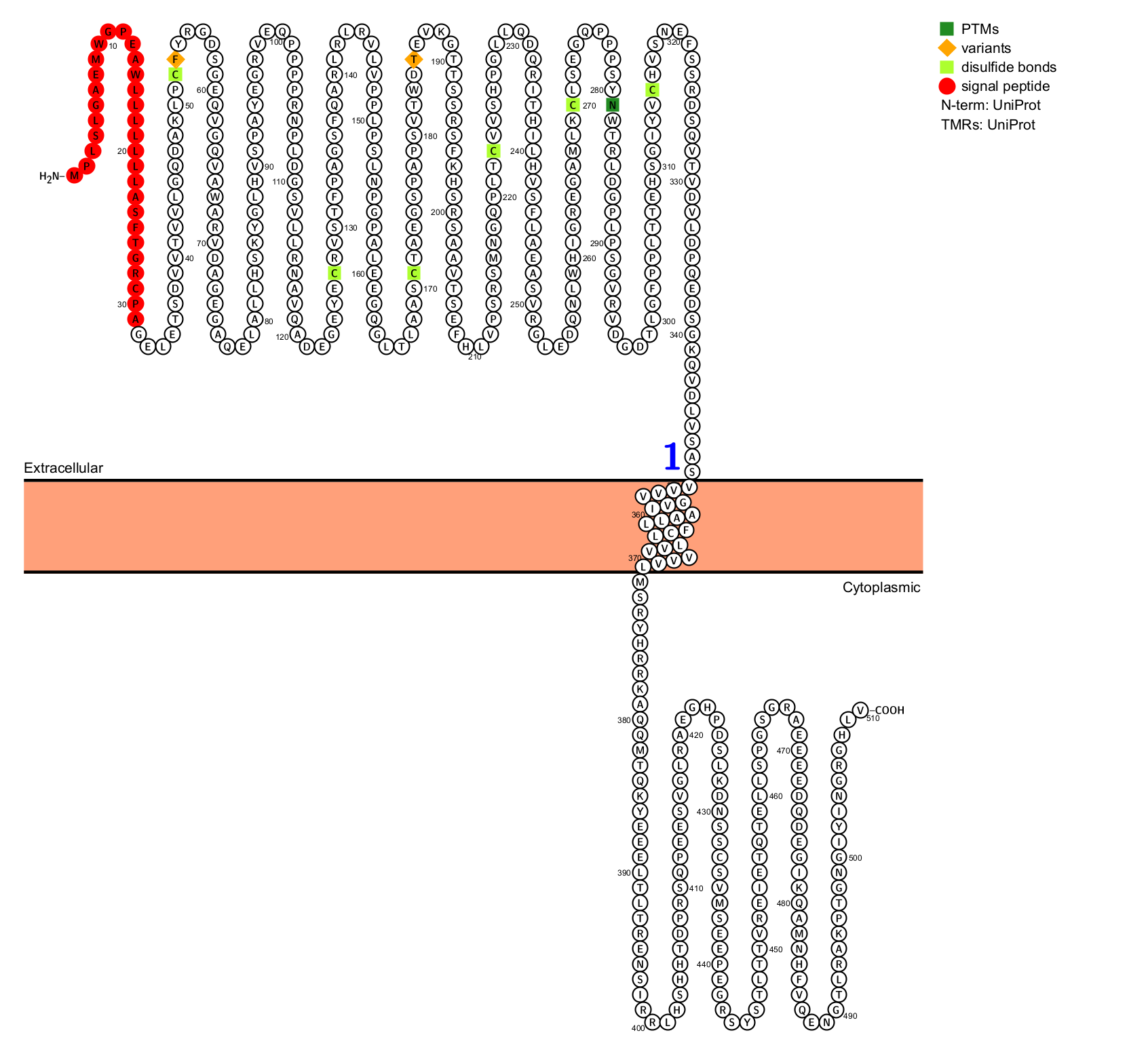 Nectin-4 is a novel target of the ADC circuit