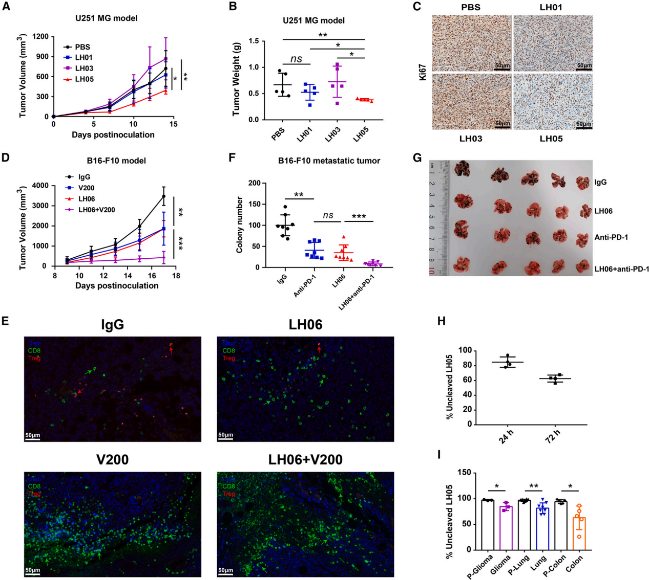 Next generation  anti-PD-L1 IL-15 immunocytokine elicits superior antitumor immunity in cold tumors with minimal toxicity