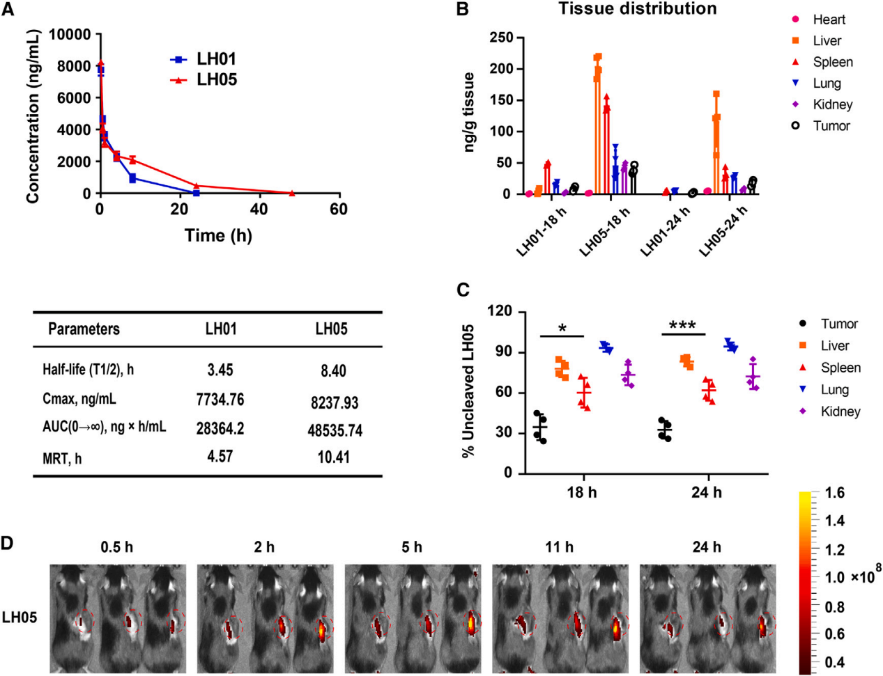 Next generation  anti-PD-L1 IL-15 immunocytokine elicits superior antitumor immunity in cold tumors with minimal toxicity