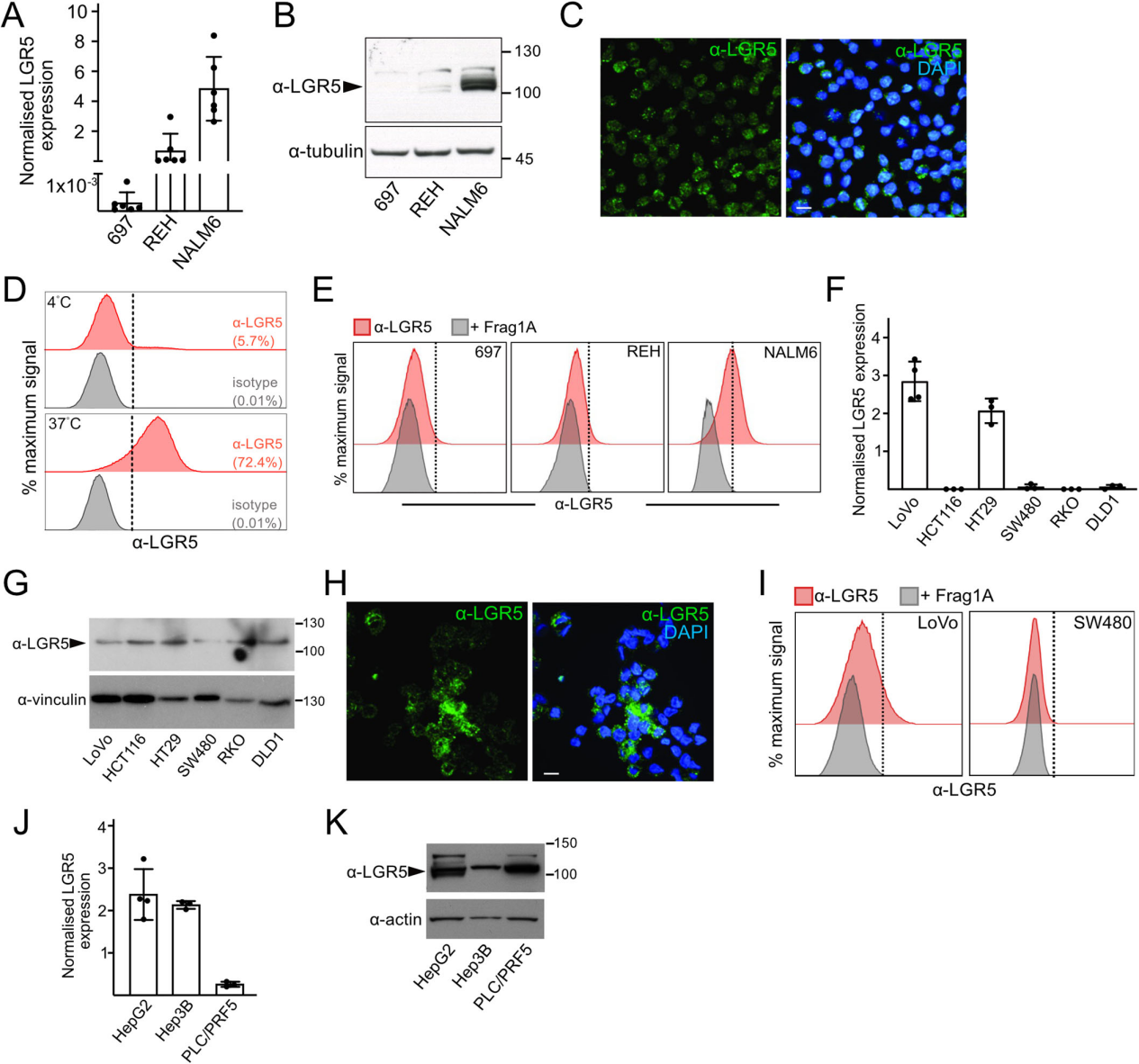 Novel immunotherapeutics against LGR5 to target multiple cancer types