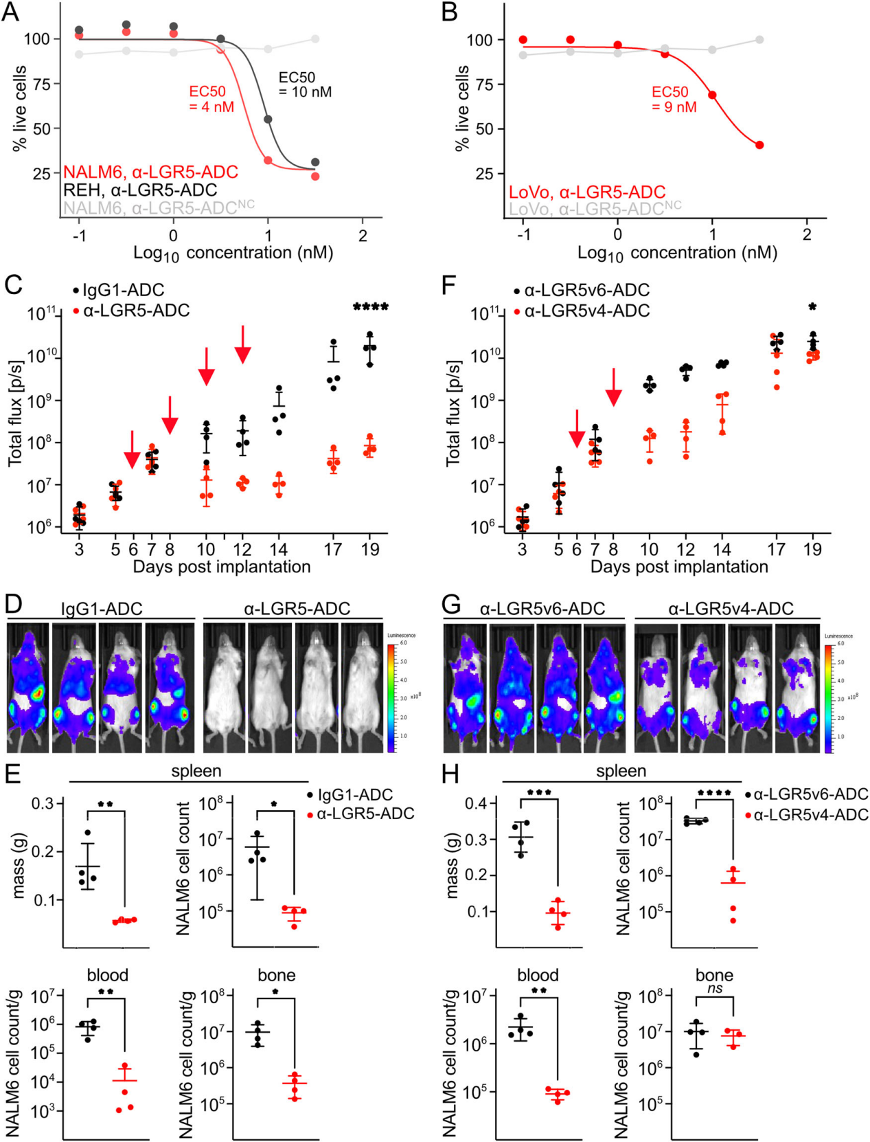 Novel immunotherapeutics against LGR5 to target multiple cancer types