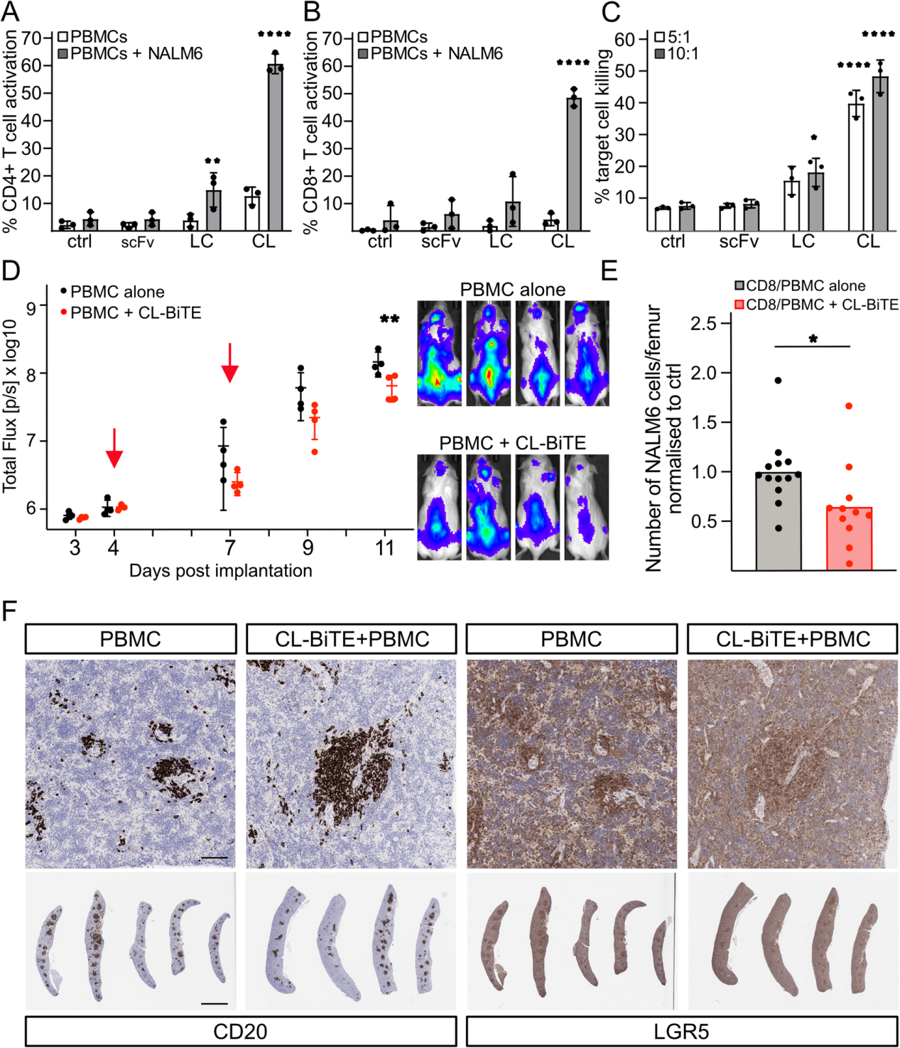 Novel immunotherapeutics against LGR5 to target multiple cancer types