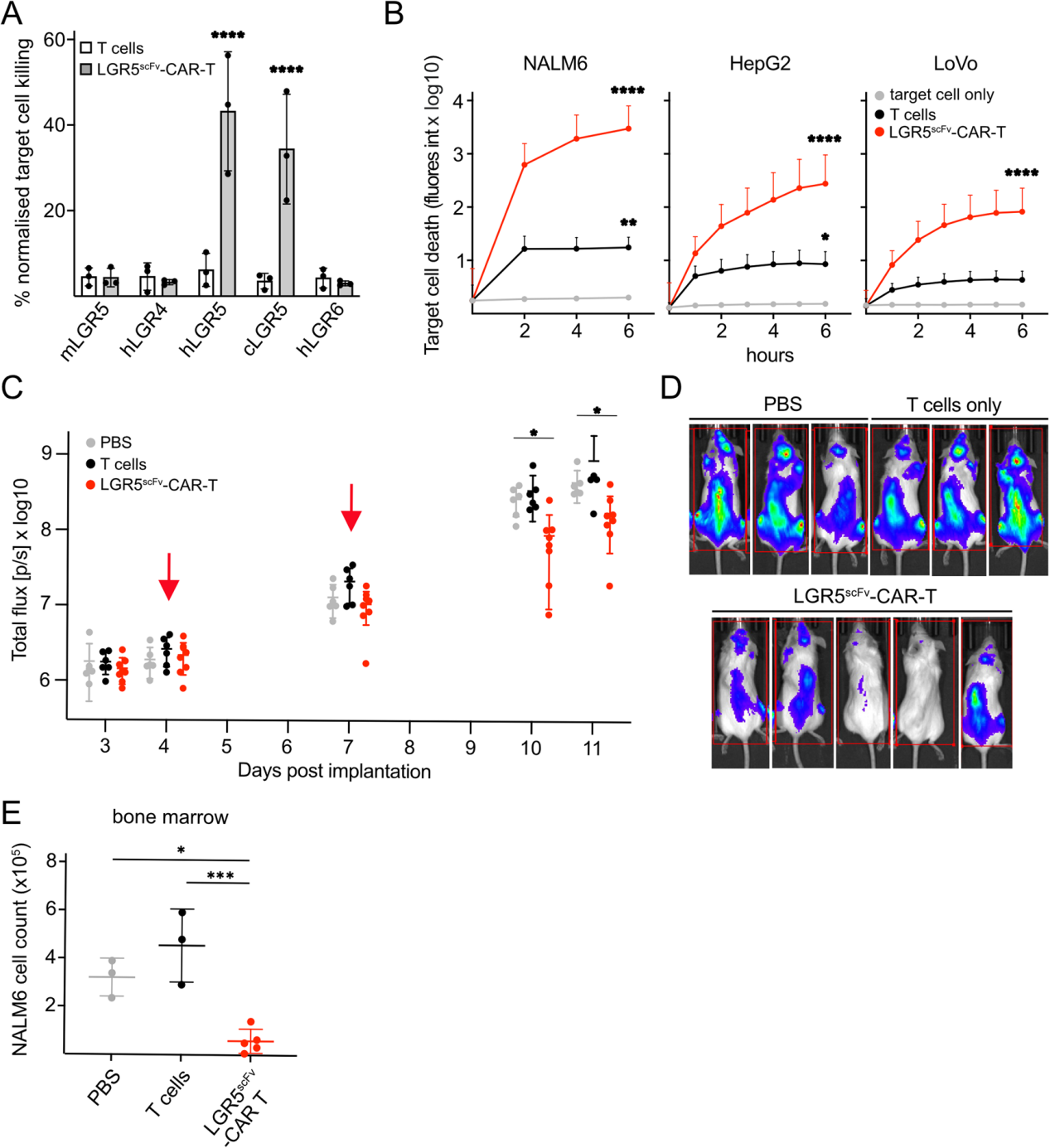 Novel immunotherapeutics against LGR5 to target multiple cancer types