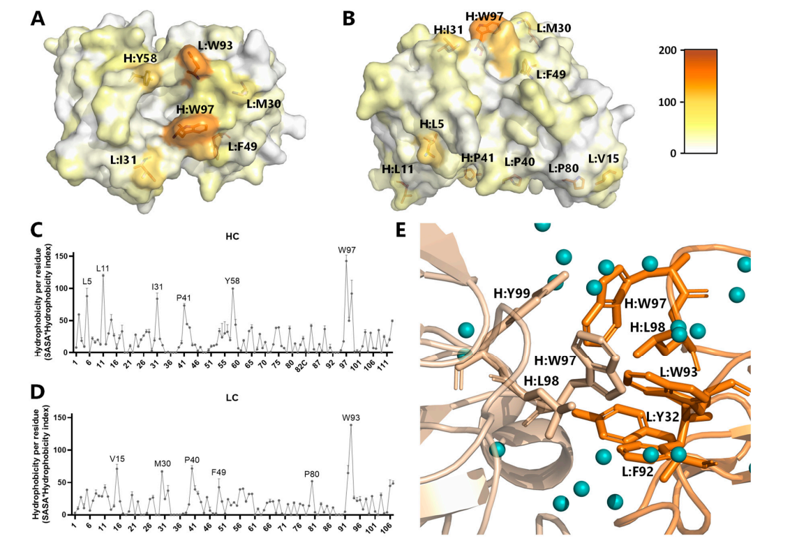 Optimized development of therapeutic anti-oxMIF antibodies based on computer and in vitro tools