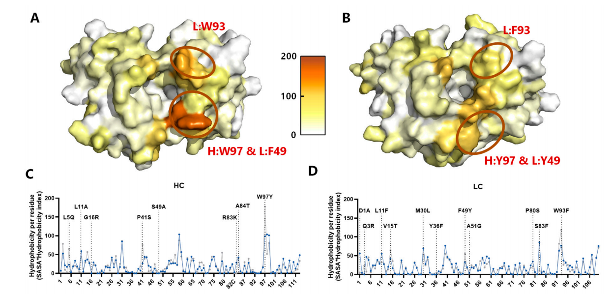Optimized development of therapeutic anti-oxMIF antibodies based on computer and in vitro tools