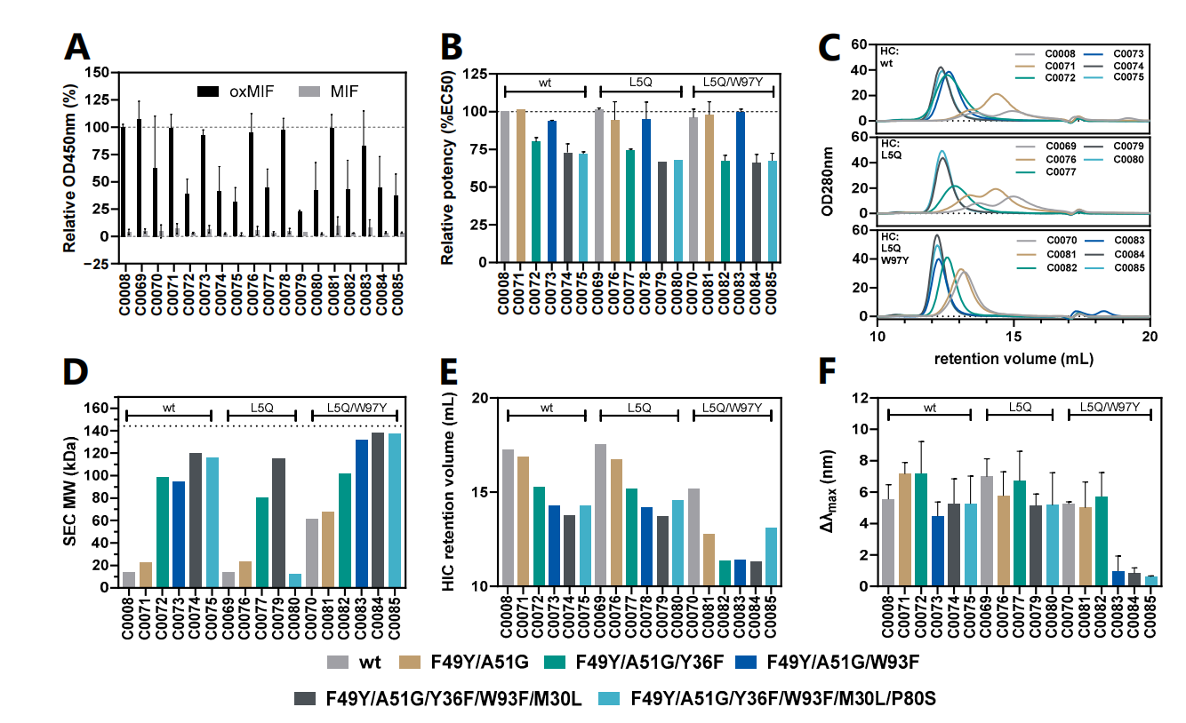 Optimized development of therapeutic anti-oxMIF antibodies based on computer and in vitro tools