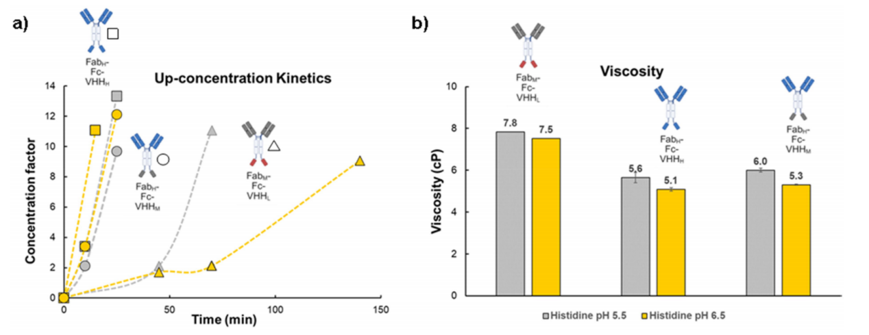 Optimizing the colloidal stability and viscosity of multi-specific antibodies