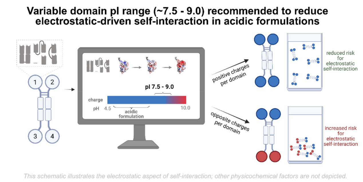 Optimizing the colloidal stability and viscosity of multi-specific antibodies