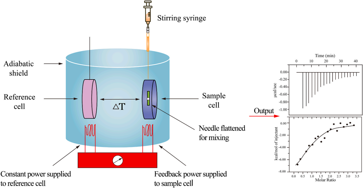 Overview of methods used in the study of protein protein interactions