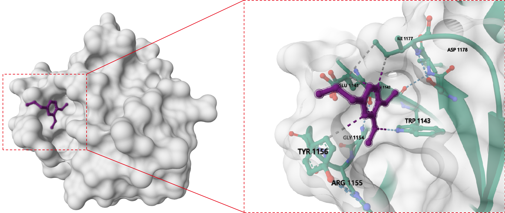 Overview of the research methods of protein small molecule interactions