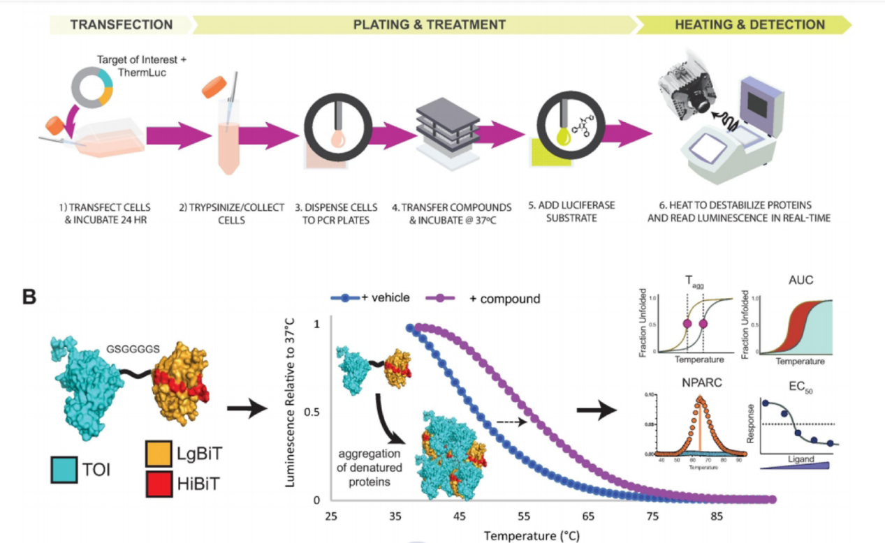 Overview of the research methods of protein small molecule interactions