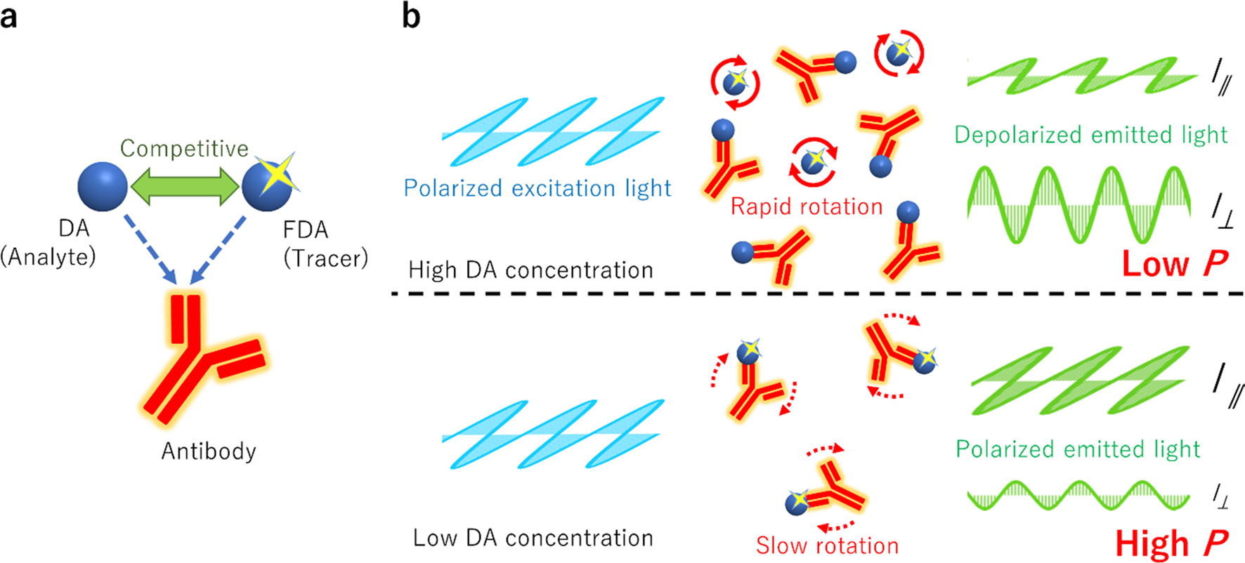 Overview of the research methods of protein small molecule interactions