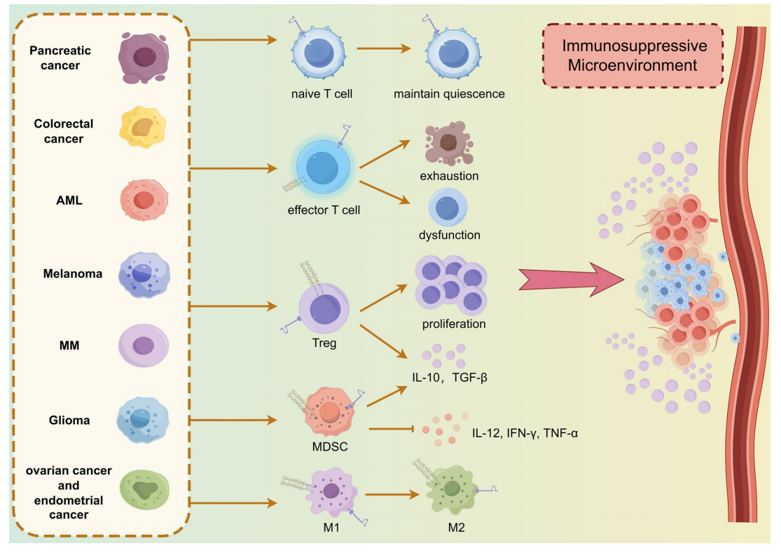 P-selectin glycoprotein ligand PSGL-1