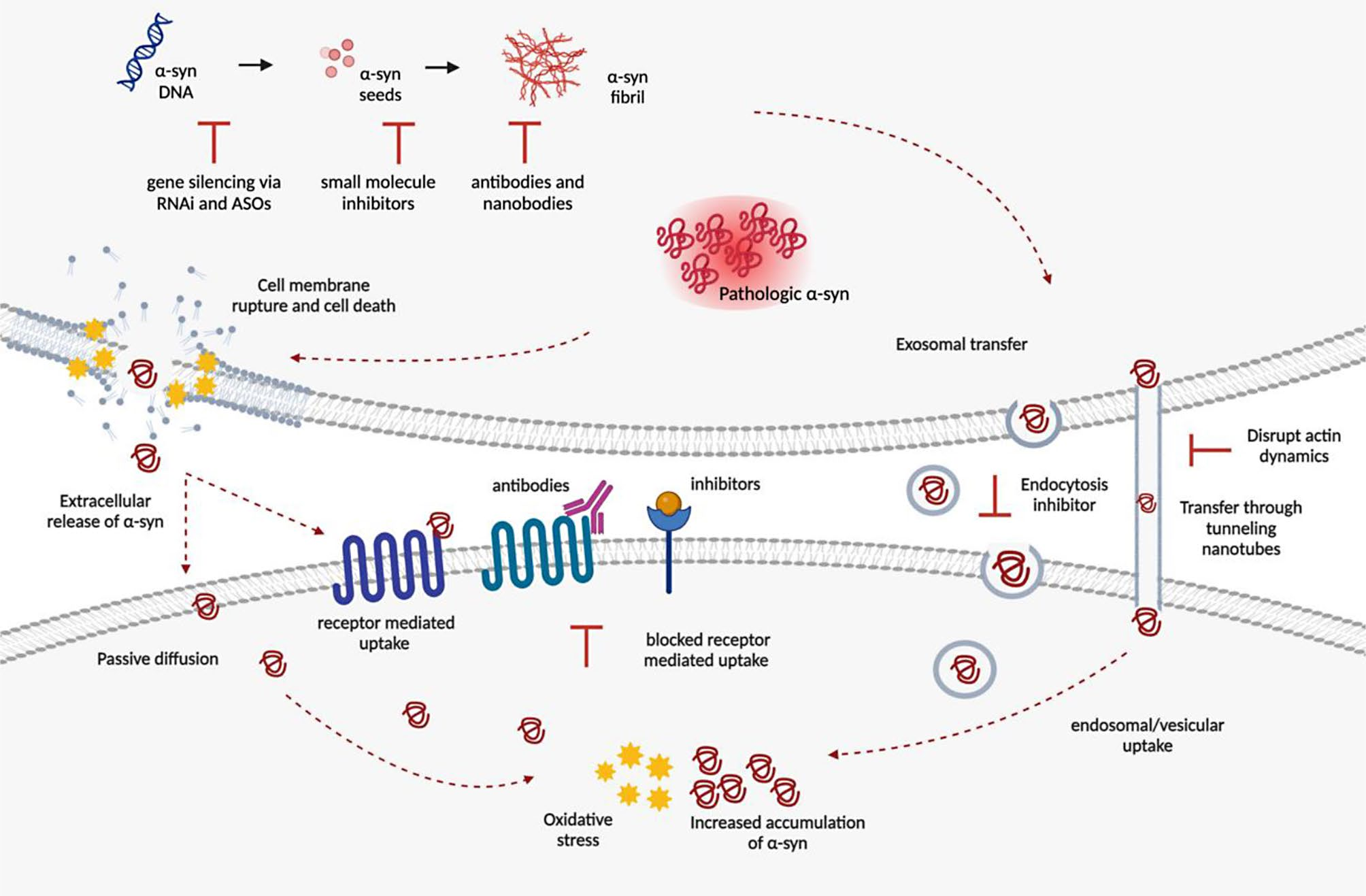 Parkinson's disease treatment target SNCA