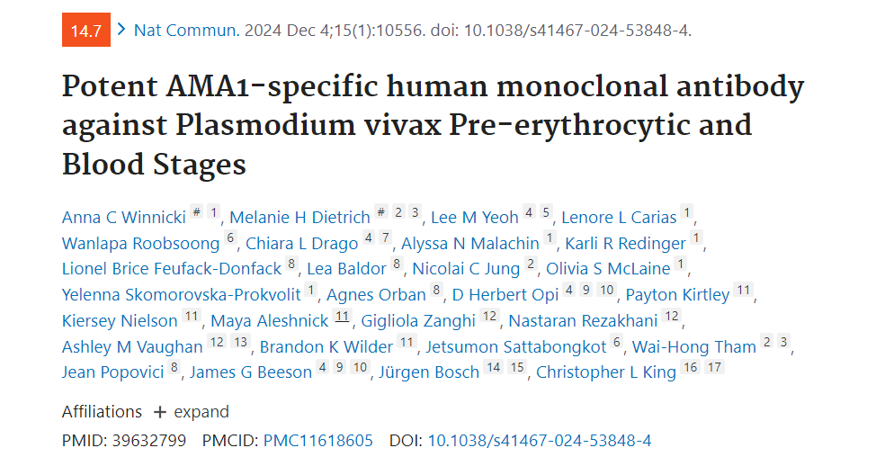 Potent AMA1-specific human monoclonal antibody against Plasmodium vivax