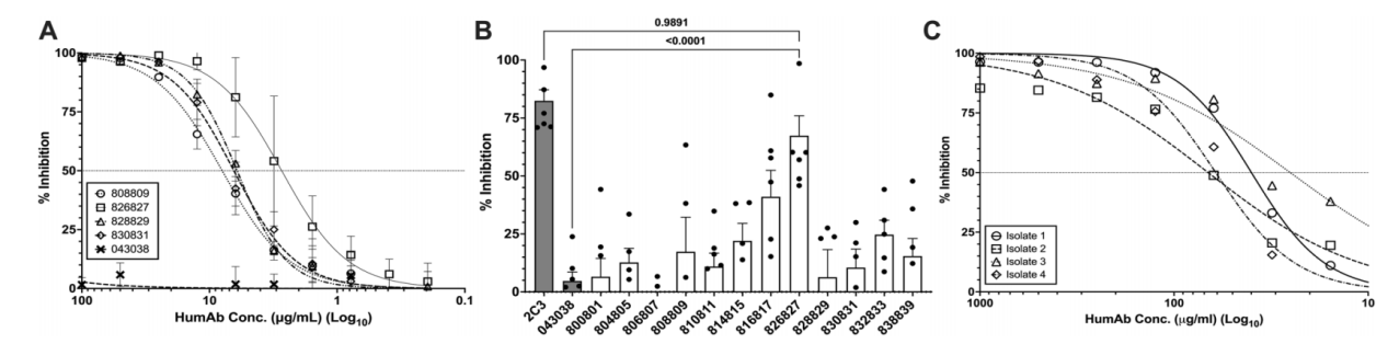 Potent AMA1-specific human monoclonal antibody against Plasmodium vivax