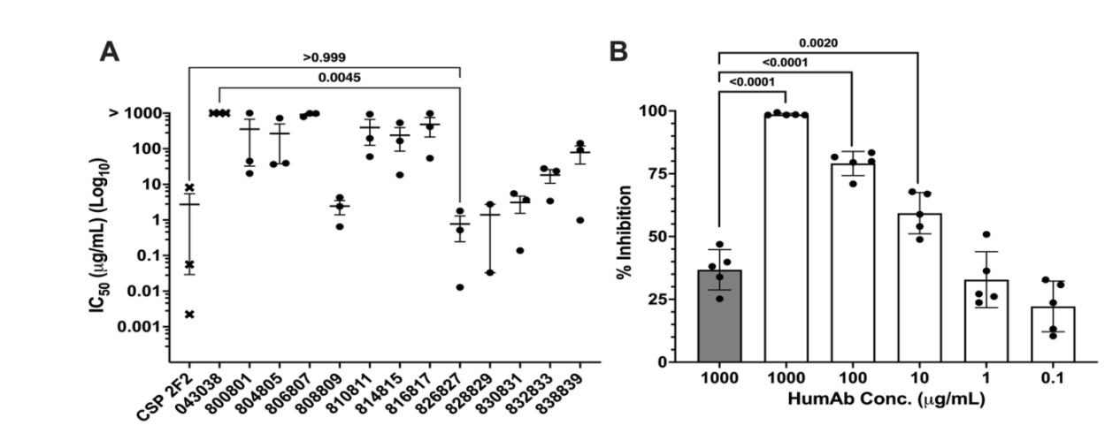 Potent AMA1-specific human monoclonal antibody against Plasmodium vivax
