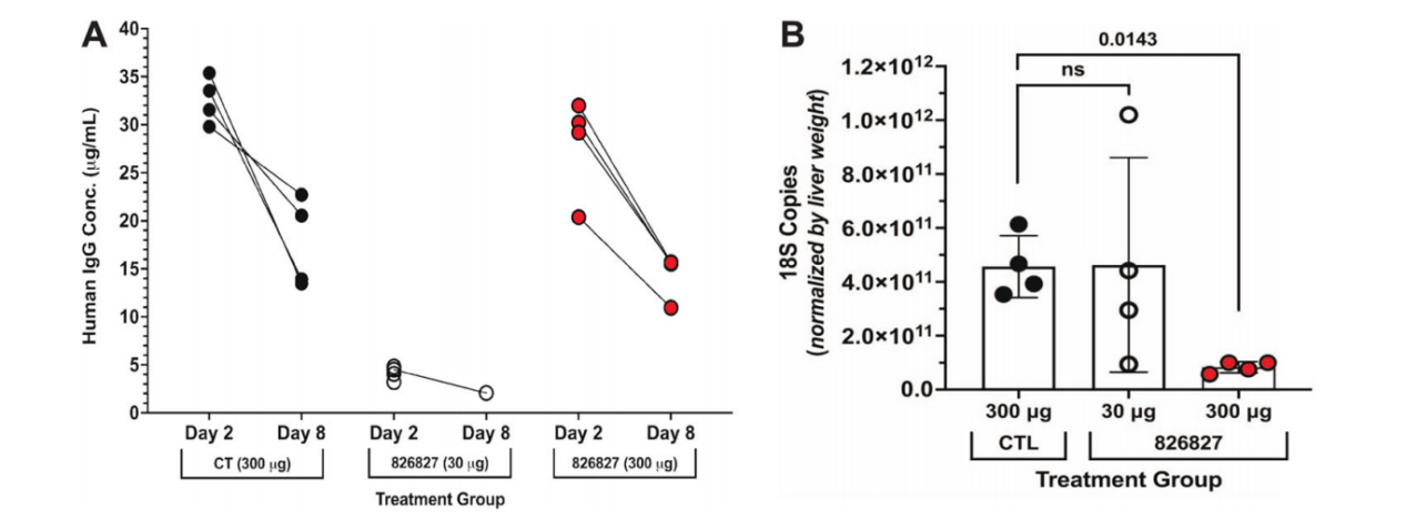 Potent AMA1-specific human monoclonal antibody against Plasmodium vivax