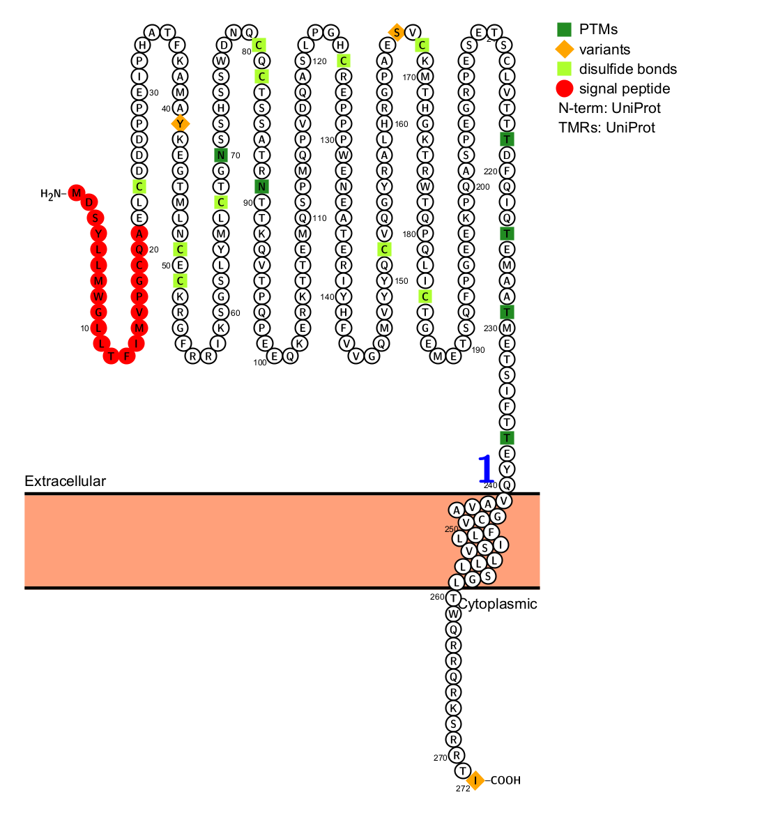 Potential tumor therapeutic target CD25